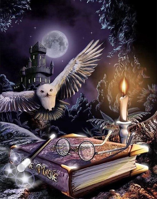 Malatec® Diamond Painting Set 5D – Uil Fantasy Tovenaar – Harry Potter Stijl – DIY Diamant Mozaïek – Compleet Pakket – 30x40 cm – Creatief & Ontspannend
