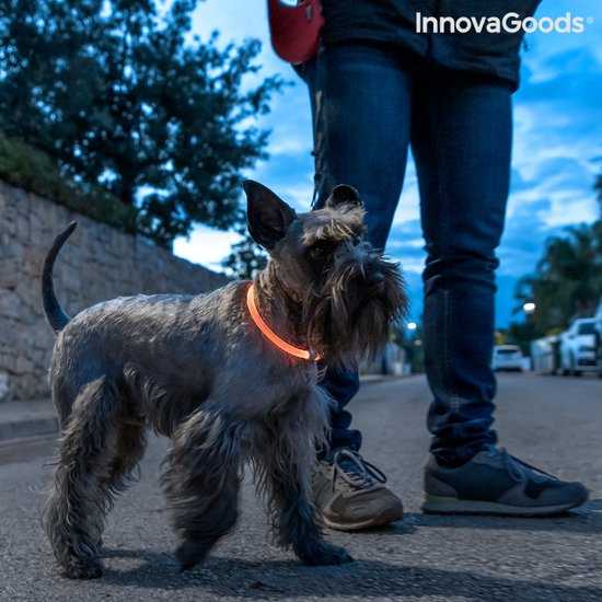 InnovaGoods LED Halsband voor Honden – Verstelbaar & Oplaadbaar – Veiligheidslicht tot 500m – 3 Lichtstanden – Oranje - Afbeelding 2
