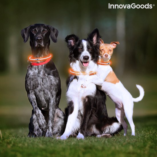 InnovaGoods LED Halsband voor Honden – Verstelbaar & Oplaadbaar – Veiligheidslicht tot 500m – 3 Lichtstanden – Oranje - Afbeelding 4