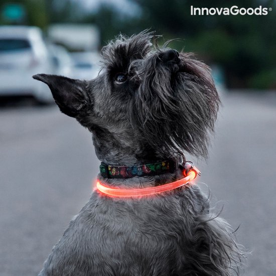 InnovaGoods LED Halsband voor Honden – Verstelbaar & Oplaadbaar – Veiligheidslicht tot 500m – 3 Lichtstanden – Oranje - Afbeelding 7