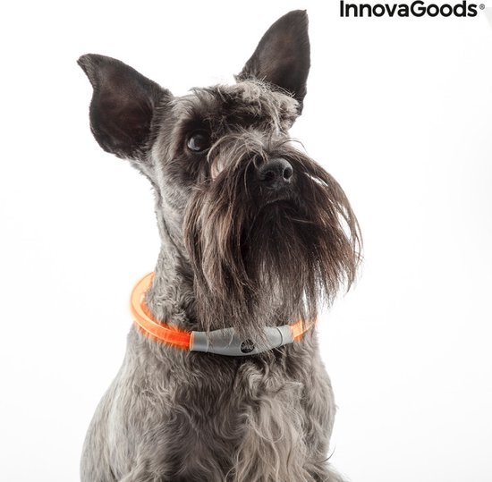 InnovaGoods LED Halsband voor Honden – Verstelbaar & Oplaadbaar – Veiligheidslicht tot 500m – 3 Lichtstanden – Oranje - Afbeelding 10