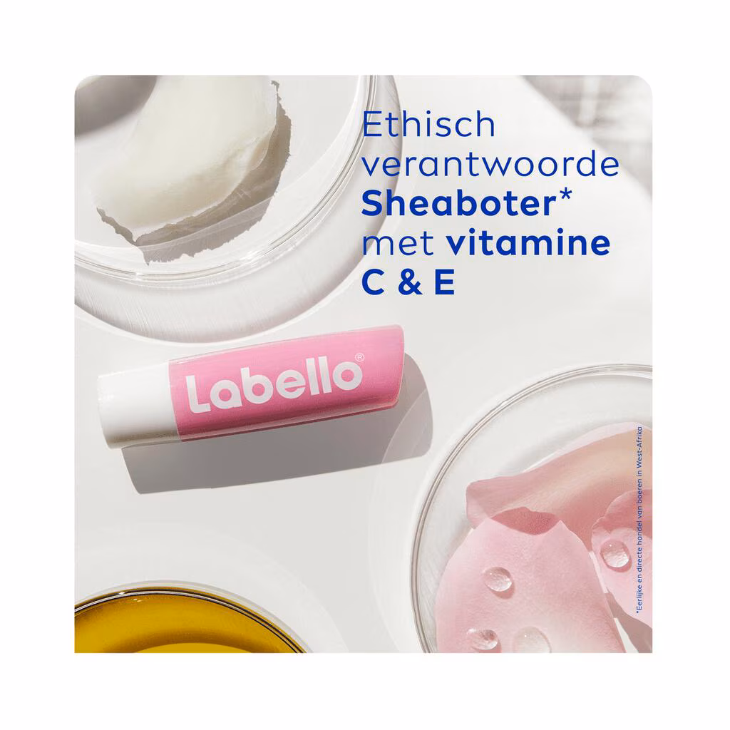 Labello Soft Rose Lippenbalsem 5,5 ml – Hydraterende Lipverzorging met Subtiele Roze Tint – Zachte en Soepele Lippen - Afbeelding 2